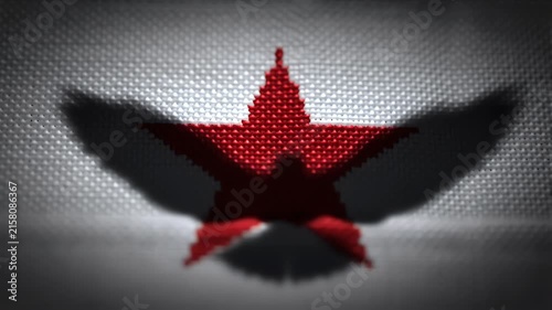 Shadow of Wings Cast on Red Pixelated Star on Textured Fabric
