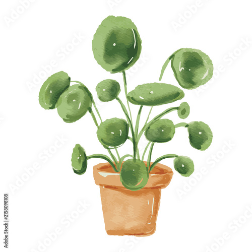 Watercolor Pilea Plant in a Pot Isolated on White Background, Green Exotic Tropical Plant for Natural Botanical and Organic Decor Concepts