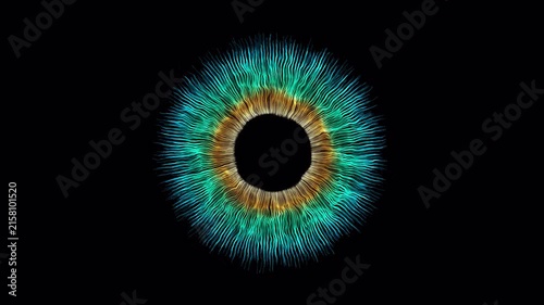 Abstract animated eye pupil and iris visualization with dynamic blue, turquoise and brown golden radial fibers. Alpha channel video overlay for medical, biometric, scientific, and technology projects