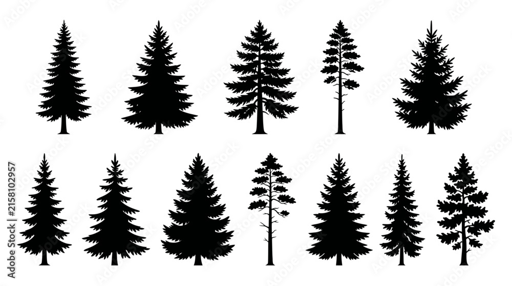 Obraz premium Creative Set of Ten Black and White Silhouette Pine Trees for Design and Branding Use with high quality professional line art symbols for modern creative design and digital branding projects