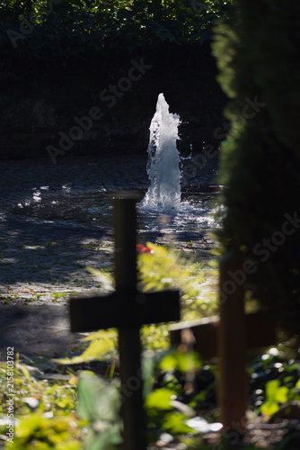 Details bei Gegenlicht im Park Friedhof im August mit Wasserbrunnen 