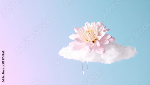 a pink flower is floating on a cloud
