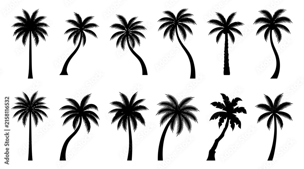 Fototapeta premium Collection of black palm tree silhouettes in varying shapes on a white background for tropical designs