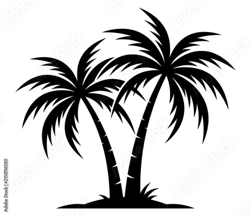 Two palm trees silhouette against a white background tropical vegetation illustration for summer designs
