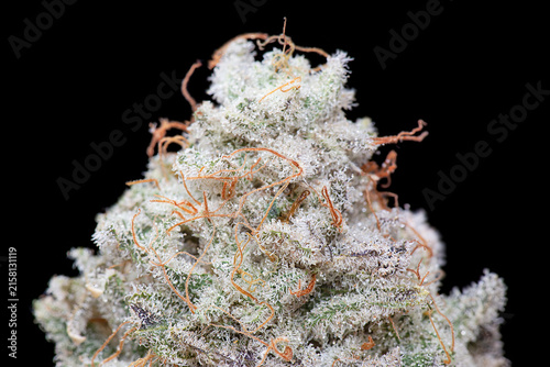 Fotografie Cannabis