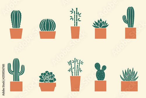Set of various potted cactus and succulent plants