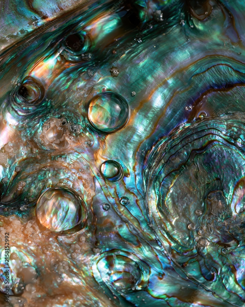 Fototapeta premium macro close up of iridescent abalone shell surface with turquoise green blue and rainbow reflections, natural nacre texture with water droplets for luxury backgrounds, marine design, beauty branding a