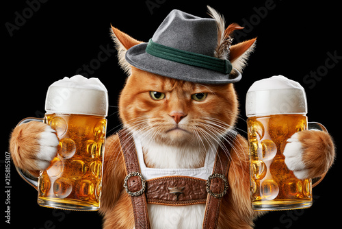 Serious ginger cat in Bavarian hat holding two beer mugs isolated on black background, Oktoberfest concept