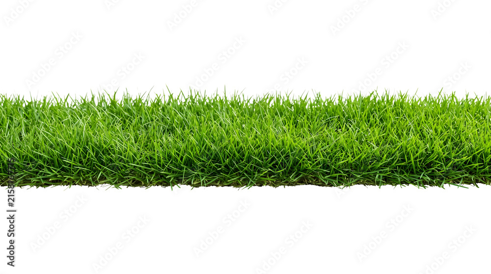 Fototapeta premium Fresh green grass strip isolated on transparent background