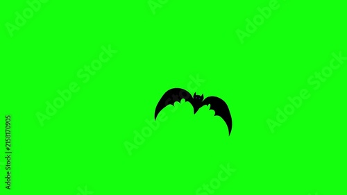 Flying Bat on Green Screen Chroma Key Halloween Animation 4K