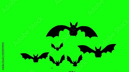 Flying Bat on Green Screen Chroma Key Halloween Animation 4K