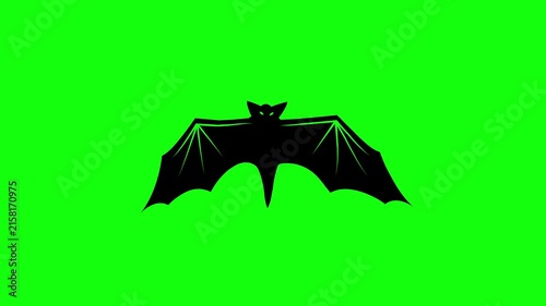 Flying Bat on Green Screen Chroma Key Halloween Animation 4K