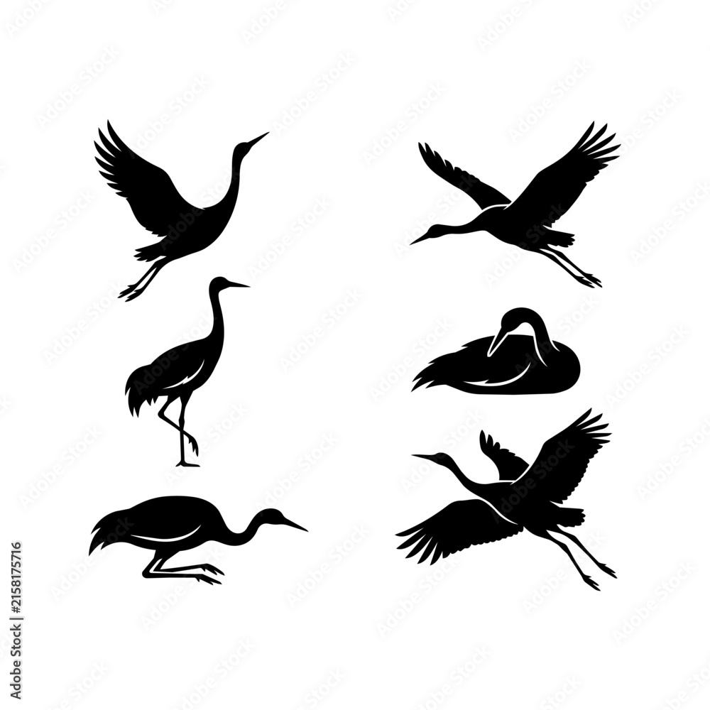 Naklejka premium Set of black crane silhouettes in various flight and standing poses isolated on white.