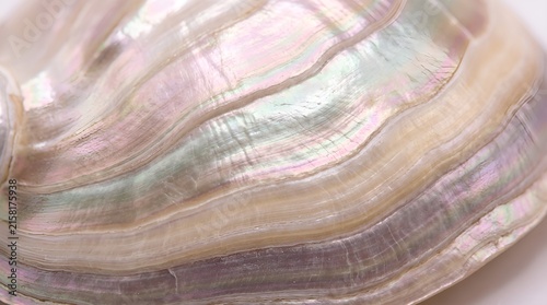 Macro Natural Mother of Pearl Sea Shell Texture with Shimmering Iridescent Grooves