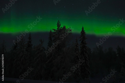 Aurora Borealis glowing in Arctic Circle dark night sky above winter forest trees; green Northern Lights dancing in Lapland, Finland