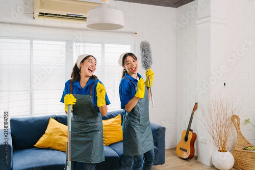 Professional Cleaners Delivering Efficient Residential Service in Modern Living Space