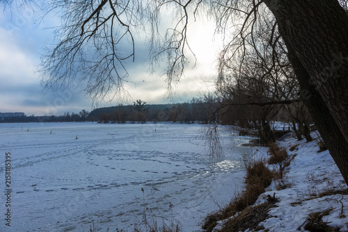 Serene winter landscape with icy frozen lake shore and snowy nature