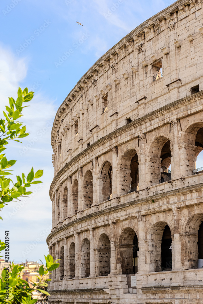 Obraz premium colosseum in rome italy