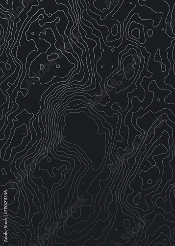 Monochromatic topographic map illustration with white contour lines on a dark gray background creating an elegant landscape.