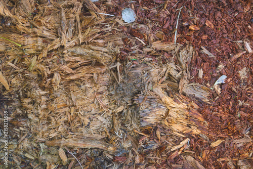 Weathered Wood Chips Contrast
