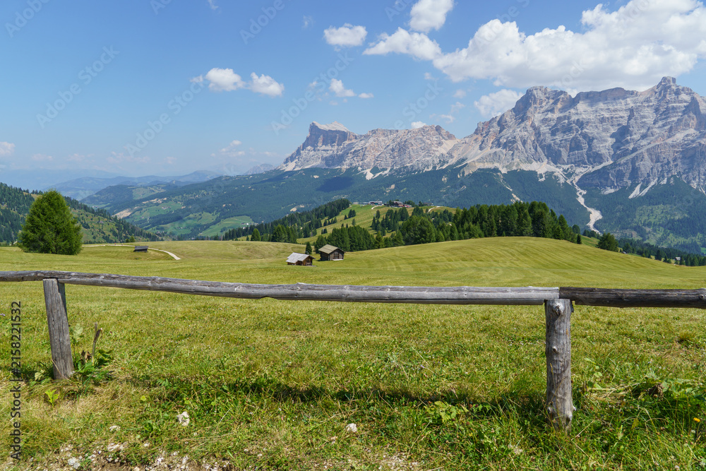 Fototapeta premium Sommer in Südtirol