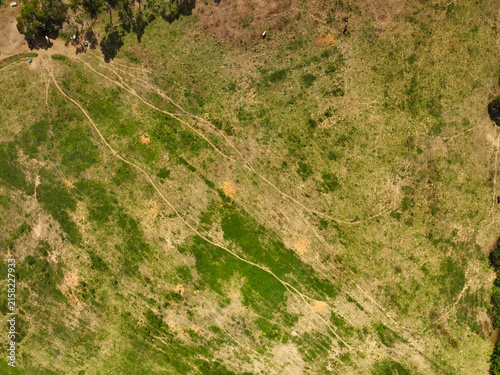 Pasture for livestock feed depleted