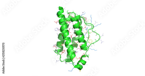 Bild auf Leinwand Human Interleukin-2, IL-2 key cytokine signaling protein regulating immune syste
