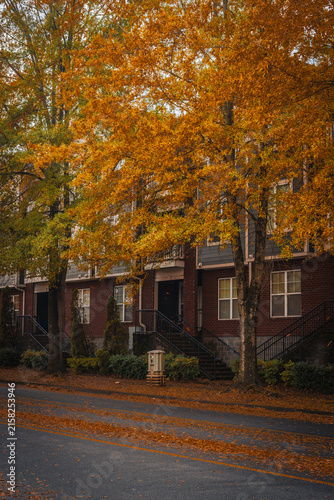 Фотография Vertical autumn streetscape featuring charming brick townhouses framed by mature trees with vibrant orange foliage
