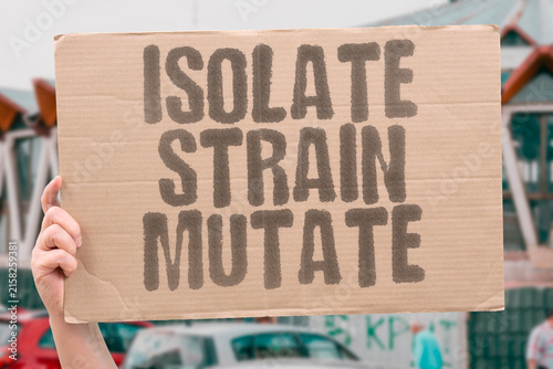 Canvastavla "Isolate Strain Mutate" Lab work shows how plastic degrades and persists