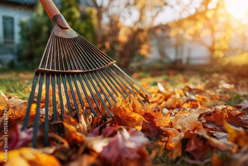 Close-up of a rake gathering vibrant autumn leaves in a sunlit garden, capturing fall yard work, seasonal cleanup, and colorful foliage in natural outdoor light.