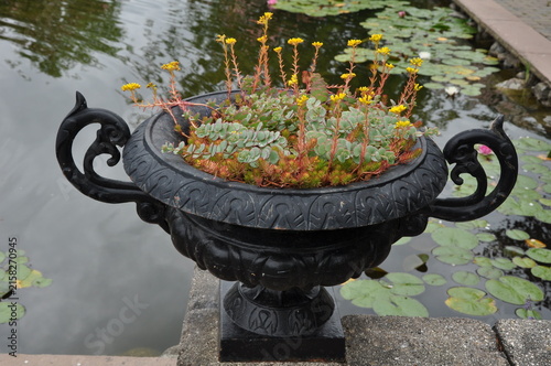 Ornate black planter next to summer garden pond