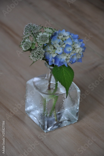 Blue hydrangea flower in little glass vase on table