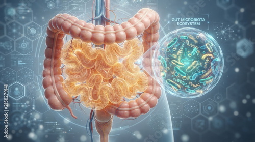 Detailed gut microbiota ecosystem visualization depicts microscopic bacteria within human colon for probiotic research and science education.