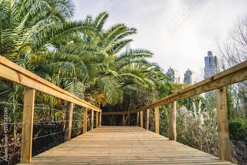 Wooden pathway through nature reserve viewing urban skyline of Puerto Madero in Buenos Aires, Argentina