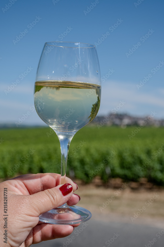 Obraz premium Tasting of glass Sancerre Sauvignon Blanc wine in hand at vineyard viewpoint overlooking Sancerre village, with limestone chalk and flint terroir in Loire Valley.
