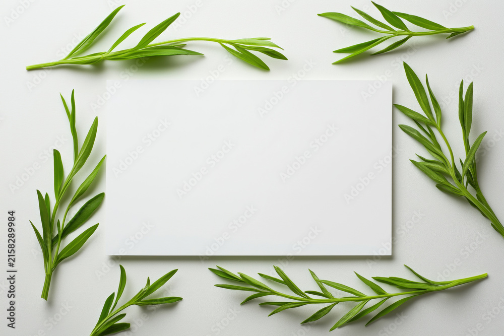 Fototapeta premium A blank white card surrounded by fresh green herb sprigs on a light background.