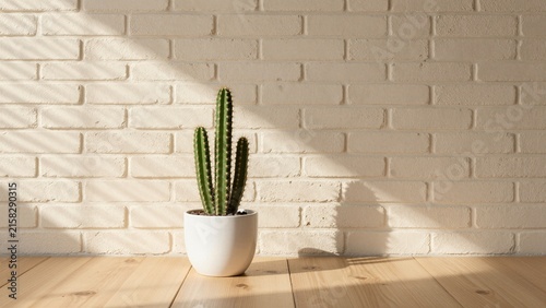 A potted cactus sits on a wooden surface against a white brick wall, bathed in sunlight.