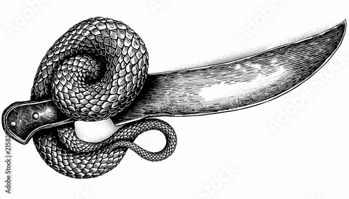 Coiled Snake Wrapped Around a Dagger Illustration.