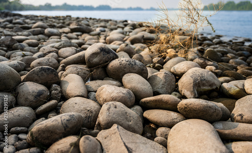 Smooth River Rocks and Pebbles Along Columbia River Shoreline in Richland, Washington