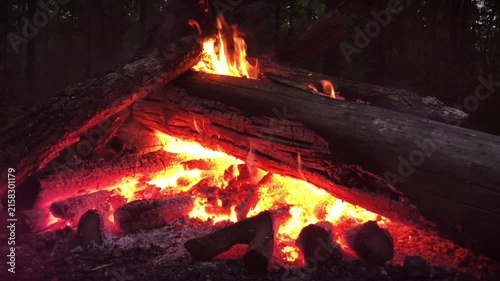 Burning bright fire with smoke in the forest evening warm fireplace in dark time. Camping in a wood. Beautiful landscape of nature and trees. Natural red orange sparks, flames, blaze. Rest by the fire