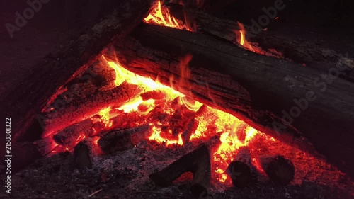 Burning bright fire with smoke in the forest summer dark time. Camping in the wood. Beautiful landscape of nature and trees. Natural red orange sparks, flames, blaze. Rest by the fire.