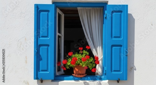 Blue Window with Red Flowers and White Curtains.