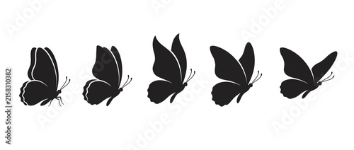 Bild auf Leinwand Set of five black butterfly silhouettes in flight