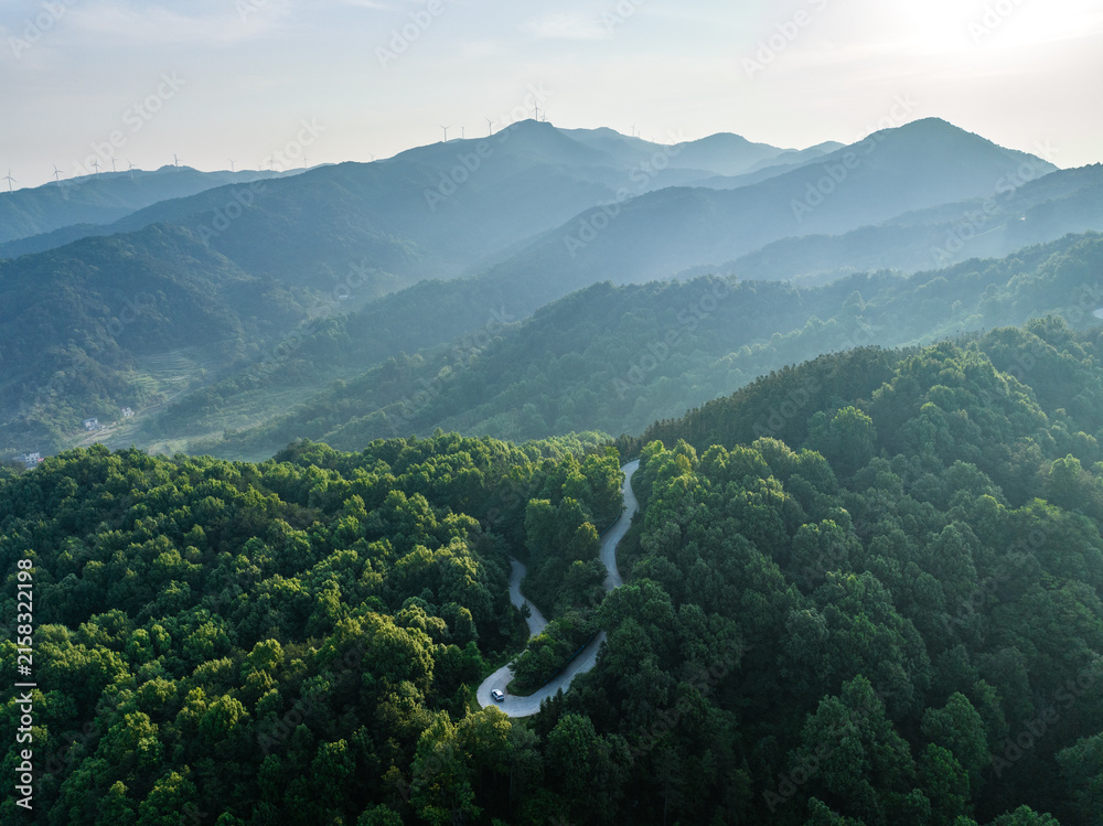 Fototapeta premium A winding paved road cuts through dense lush forests across layered mountain ranges under soft morning light.