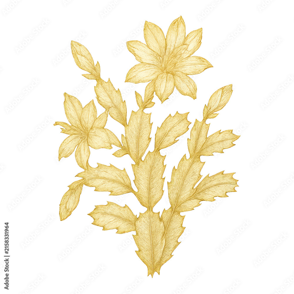 Naklejka premium PNG Golden floral botanical illustration