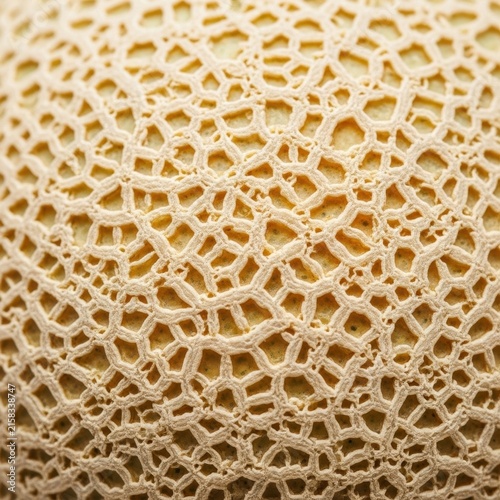 Close up of intricate beige crochet lace fabric texture.