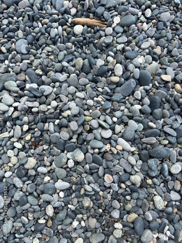 Top-down view of smooth grey beach pebbles and small stones on a coastal shore. A textured natural background pattern of river rock, gravel, and sea stones.