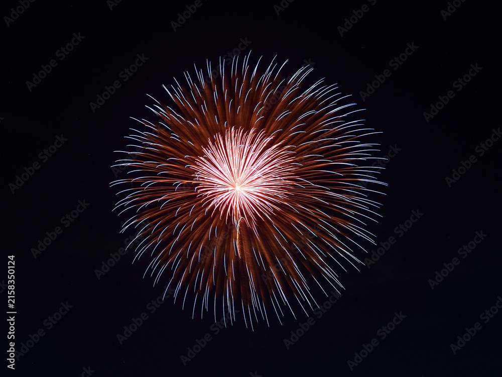 Fototapeta premium 夏の夜空を彩る花火