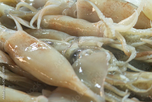 Close-up of fresh, glossy squid stacked at a Thailand local outdoor fresh food market.