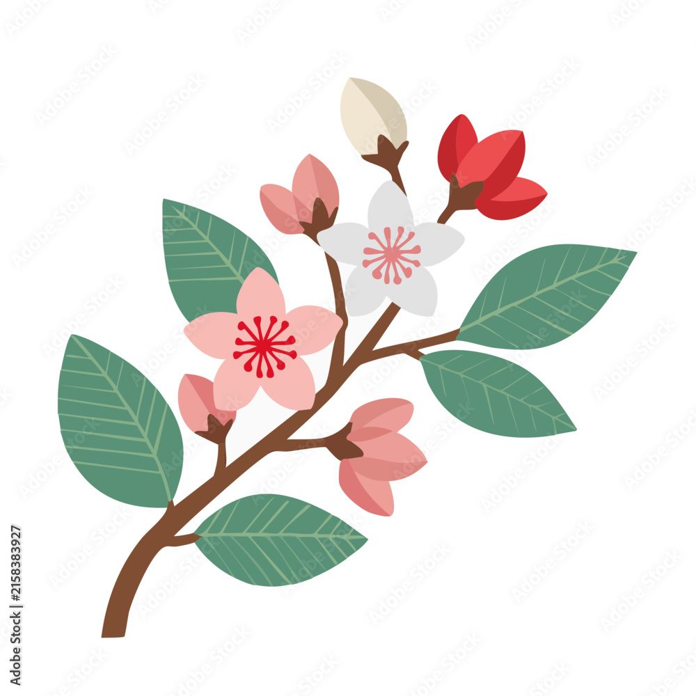Fototapeta premium Cherry blossom branch with flowers and leaves vector illustration